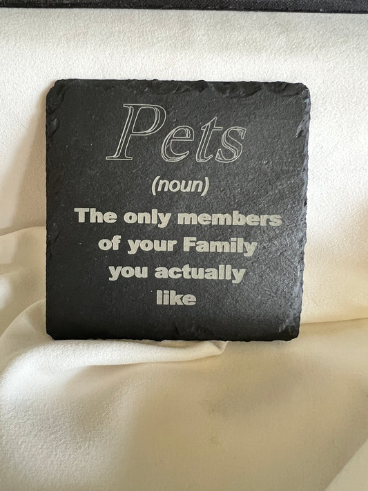 Pets (noun) meaning slate coaster