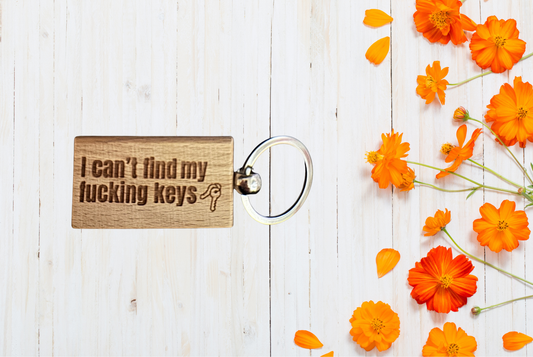 I can't find my fucking keys keychain