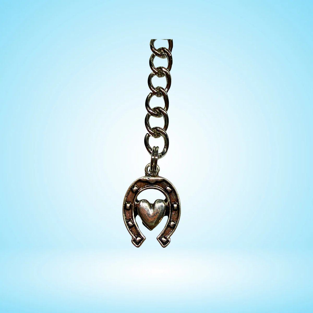 Longhorn Skull Purse / Bag Charm