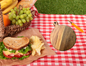 Mini Lunchbox Cutting Board -RLB05