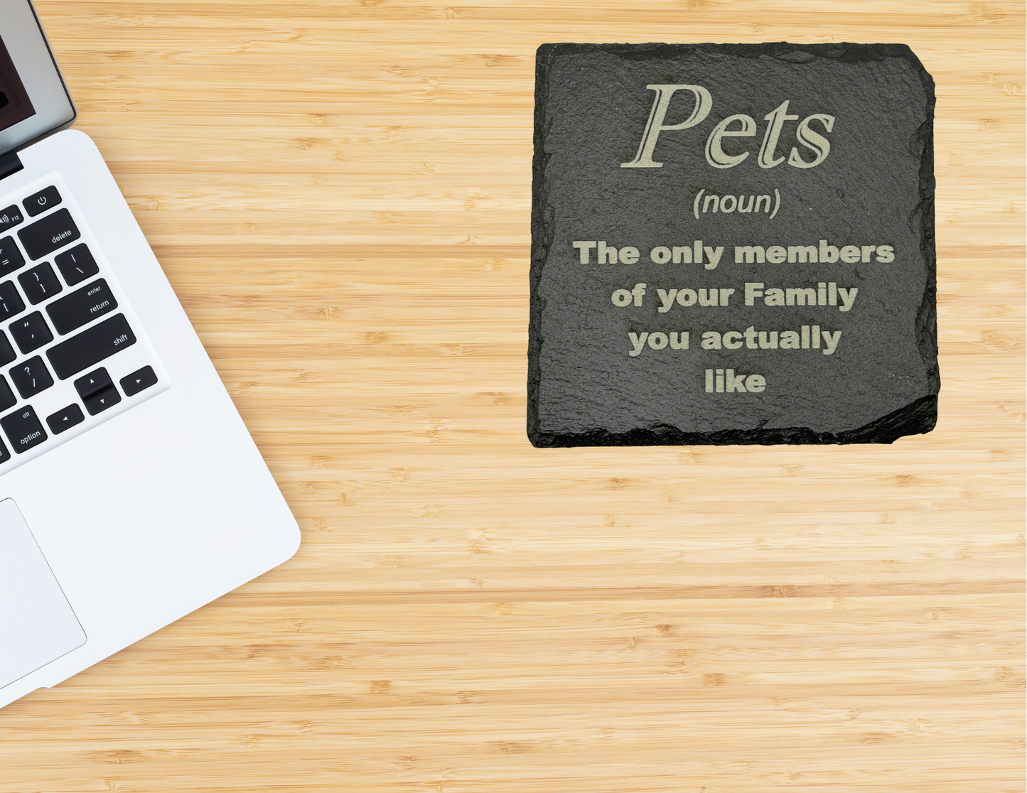 Pets (noun) meaning slate coaster