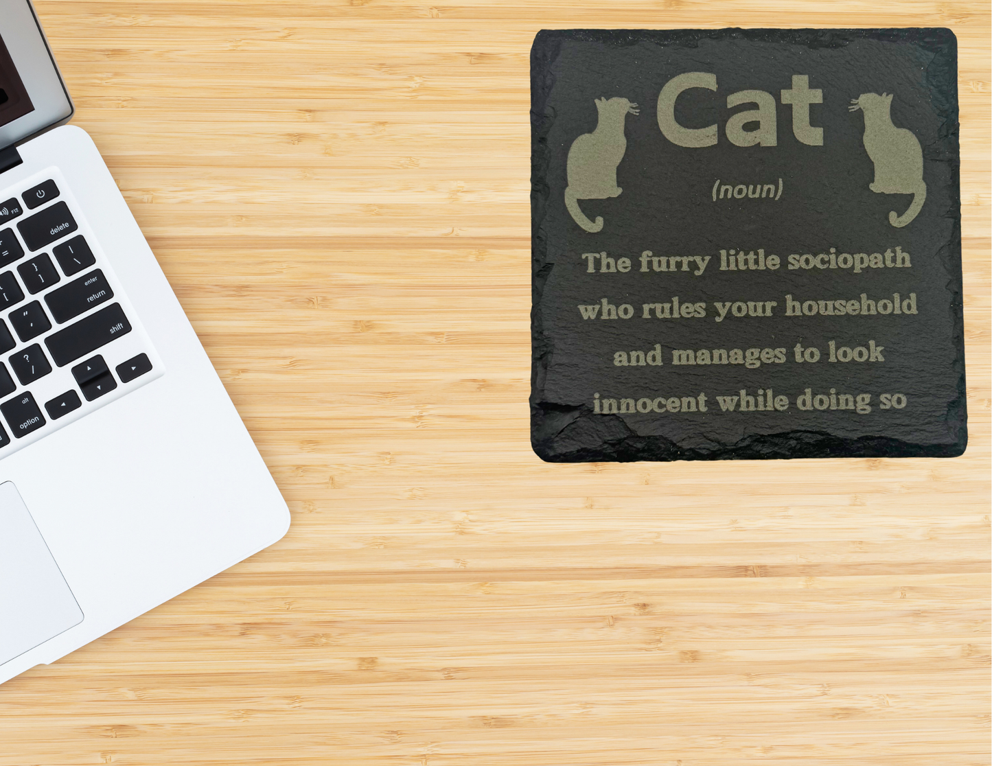 Cat (noun) meaning slate coaster