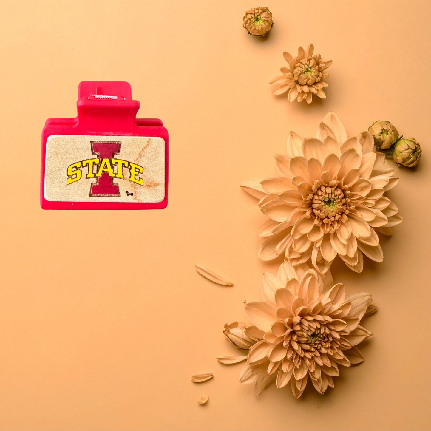 Small Hand Painted Laser Engraved Wood Claw Hair Clips