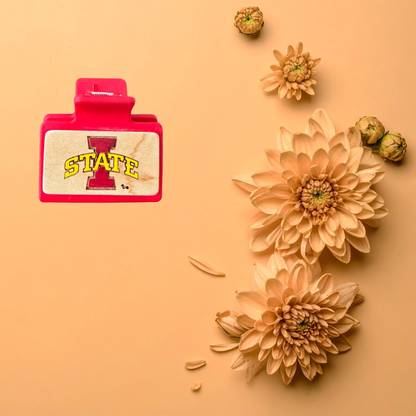 Small Hand Painted Laser Engraved Wood Claw Hair Clips