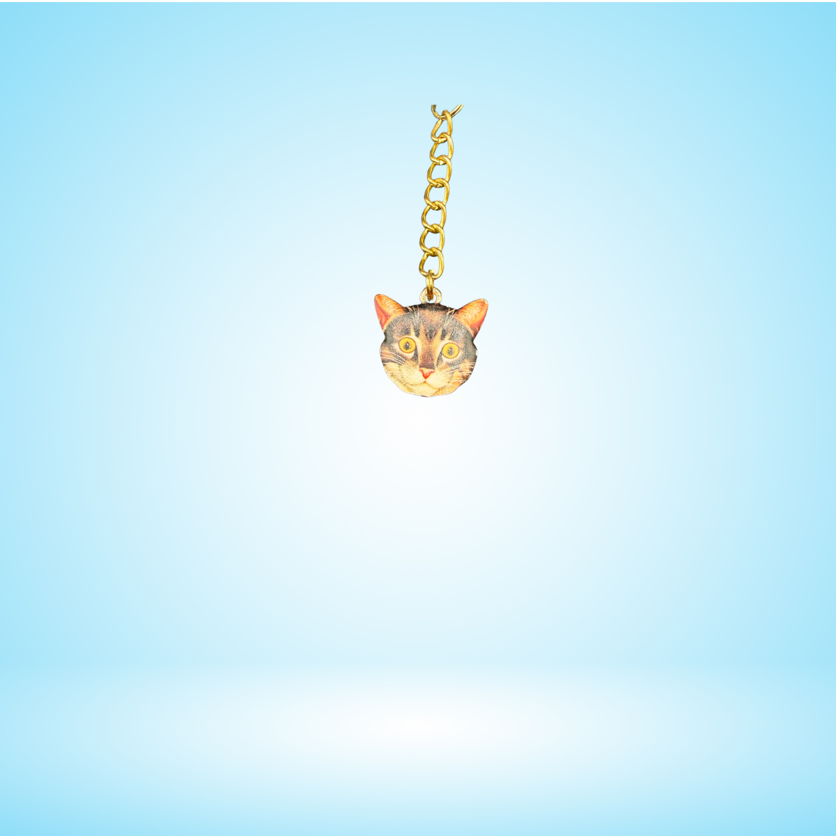 Cat Purse / Bag Charm